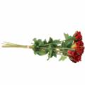 Floristik24 Rose Rot 42cm 12St