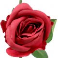 Floristik24 Rose Rot 44cm 6St
