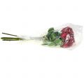 Floristik24 Rose Rot 44cm 6St