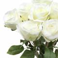 Floristik24 Deko-Rose Seidenblumen im Bund Creme 36cm 8St