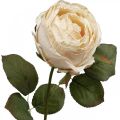 Floristik24 Rose Cremefarben, Seidenblume, künstliche Rose L74cm Ø7cm