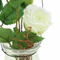 Rose im Glas Weiß H23cm
