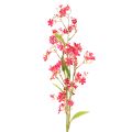 Floristik24 Künstlicher Blütenzweig Oncidium Orchideen 112cm Pink 3 Stück