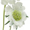 Floristik24 Skabiose Kunstblume Weiß Gartenblume H64cm Bund mit 3St