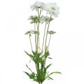 Floristik24 Skabiose Kunstblume Weiß Gartenblume H64cm Bund mit 3St