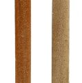 Schilfkolben Mix Natur Deko Schilf 70cm 100 St | Floristik24.ch