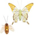 Floristik24 Schmetterling, Biene Deko am Clip 4cm - 8cm 9St