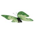 Floristik24 Schmetterling Grün am Clip 10cm - 11cm 6St