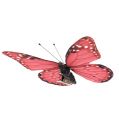 Floristik24 Schmetterling Pink am Clip 11cm 6St