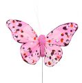 Floristik24 Schmetterling 10cm Rosa 12St