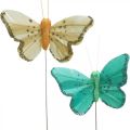 Floristik24 Schmetterling mit Glitter, Dekostecker, Federschmetterling Frühling Gelb, Türkis, Grün 4×6,5cm 24St