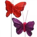 Floristik24 Frühling, Federschmetterlinge mit Glimmer, Deko-Schmetterling Rot, Orange, Pink, Violett 4×6,5cm 24St