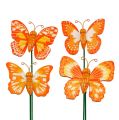 Floristik24 Schmetterlinge am Stab oange 7cm L25cm 24St