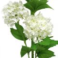 Floristik24 Schneeball-Zweig, künstlichen Pflanze, Seidenblume Weiß Ø6,5cm L78cm