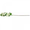 Floristik24 Schneeball-Zweig, künstlichen Pflanze, Seidenblume Weiß Ø6,5cm L78cm