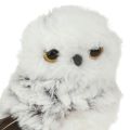 Schneeeulen-Dekofigur im 2er-Set aus Kunststoff und Kunstfell, Weiss und Braun, H13 cm | Floristik24.ch
