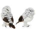Schneeeulen-Dekofigur im 2er-Set aus Kunststoff und Kunstfell, Weiss und Braun, H13 cm | Floristik24.ch