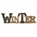 Floristik24 Schriftzug „Winter“ Glasiert Natur, Beige Mangoholz 11,5 × 37,5cm