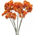 Floristik24 Sedum Künstliche Fetthenne Orange Herbstdeko 70cm 3St