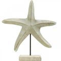 Floristik24 Seestern aus Holz, Dekoskulptur Maritim, Meerdeko Naturfarben, Weiß H28cm