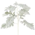 Floristik24 Künstlicher Senecio Zweig Kunststoff Silberblatt Greiskraut 45cm im 3er-Set