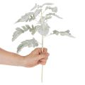 Künstlicher Senecio Zweig Kunststoff Silberblatt Greiskraut 45cm im 3er-Set | Floristik24.ch
