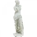 Floristik24 Venus Statue Deko-Skulptur H29cm Graubraun Dekofigur Garten