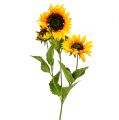 Floristik24 Sonnenblume Gelb 85cm