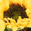 Künstliche Sonnenblumen mit realistischen Blättern und Blüten 58 cm, Set aus 3 Stielen, Gelb-Grün | Floristik24.ch