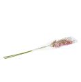 Floristik24 Spinnenorchideen Pink-Orange 108cm 3St