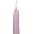 Spitzkerzen Stabkerzen Wenzel Kerzen Flieder 250/23mm 12 St | Floristik24.ch