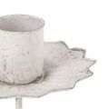Spitzkerzenhalter zum Stecken Ø7cm Creme | Floristik24.ch