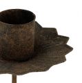Spitzkerzenhalter zum Stecken Ø7cm Rost | Floristik24.ch