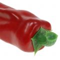 Floristik24 Spitzpaprika Rot 14cm 8St