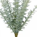 Floristik24 Sprengerie Zierspargel Künstliche Pflanzen Grün 23cm 4St