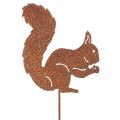 Floristik24 Gartenstecker Eichhörnchen aus Metall in Rostoptik, 52 cm, 2er-Set
