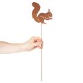 Gartenstecker Eichhörnchen aus Metall in Rostoptik, 52 cm, 2er-Set | Floristik24.ch