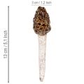 Künstlicher Morchel-Pilz aus Keramik im 2er-Set, 13 cm, Braun | Floristik24.ch