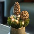 Künstlicher Morchel-Pilz aus Keramik im 2er-Set, 13 cm, Braun | Floristik24.ch
