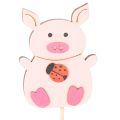 Dekostecker Schweinchen Holz bunt 31cm 16 Stück für Blumendekoration | Floristik24.ch