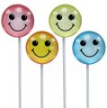 Floristik24 Deko Emoticon&reg;am Stab bunt sortiert 3,5cm 8St