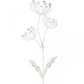 Floristik24 Frühlingsdeko, Dekostecker Blume Shabby Chic Weiß, Silbern L87cm B18cm