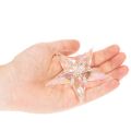 Dekoanhänger Stern Acryl irisierend klar 9 cm 6er-Set für Weihnachtsbaum | Floristik24.ch