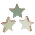 Floristik24 Holzstern Deko 5 cm Mint und Weiss 9er-Set
