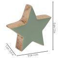 Holzstern Deko 5 cm Mint und Weiss 9er-Set | Floristik24.ch