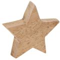 Holzstern Deko 5 cm Mint und