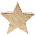 Deko-Sterne aus Holz Gold 10cm 3er-Set für Innenbereich | Floristik24.ch