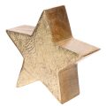 Deko-Sterne aus Holz Gold 10cm