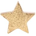 Deko-Sterne Holz goldfarben Ø 5 cm 9er Set für Tischdekoration | Floristik24.ch