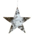 Floristik24 Sterne aus Birkenrinde Weiß 29cm 3St